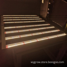 Best LED Grow Light Bar for Indoor Growing